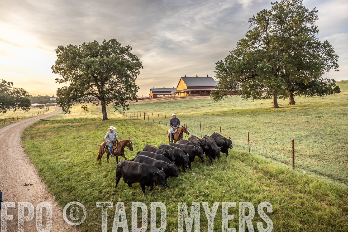 TMyers_Cameron_June2022-529537