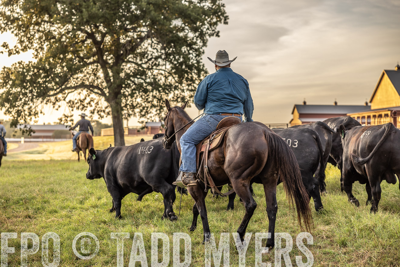 TMyers_Cameron_June2022-529569