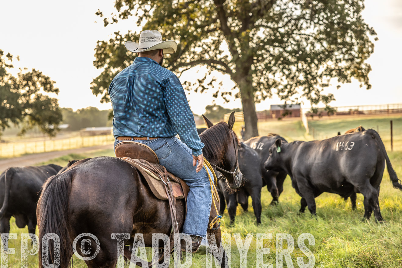 TMyers_Cameron_June2022-529604