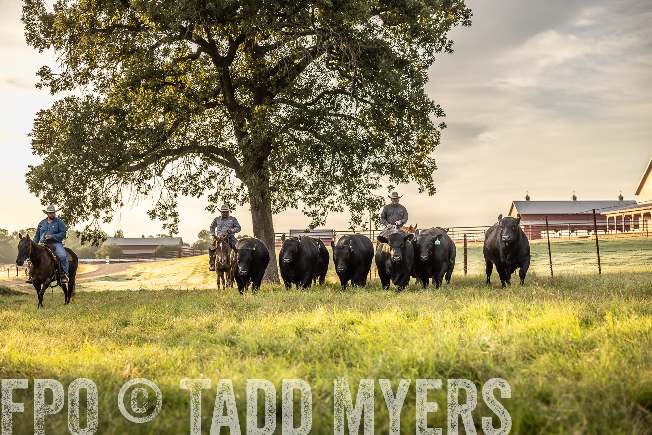 TMyers_Cameron_June2022-529618