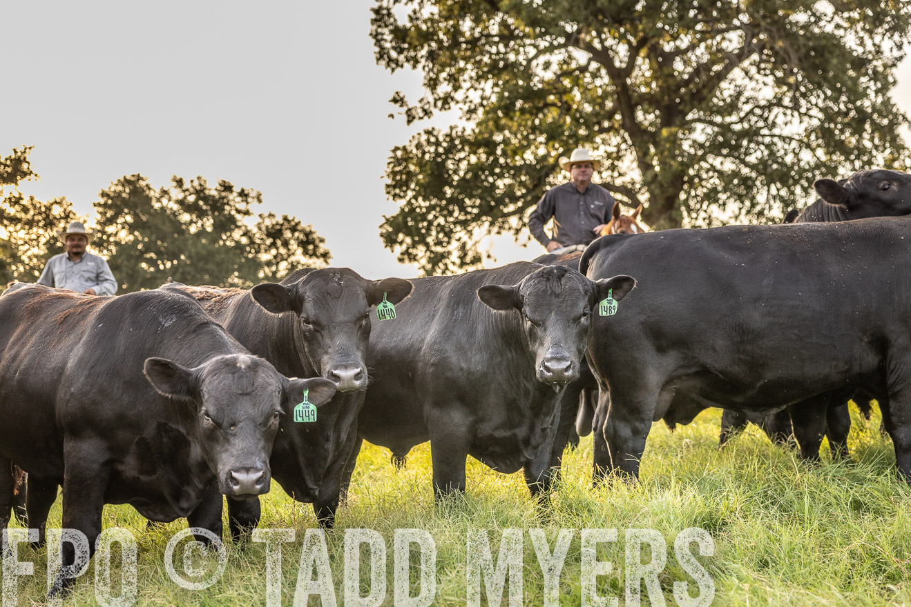 TMyers_Cameron_June2022-529660