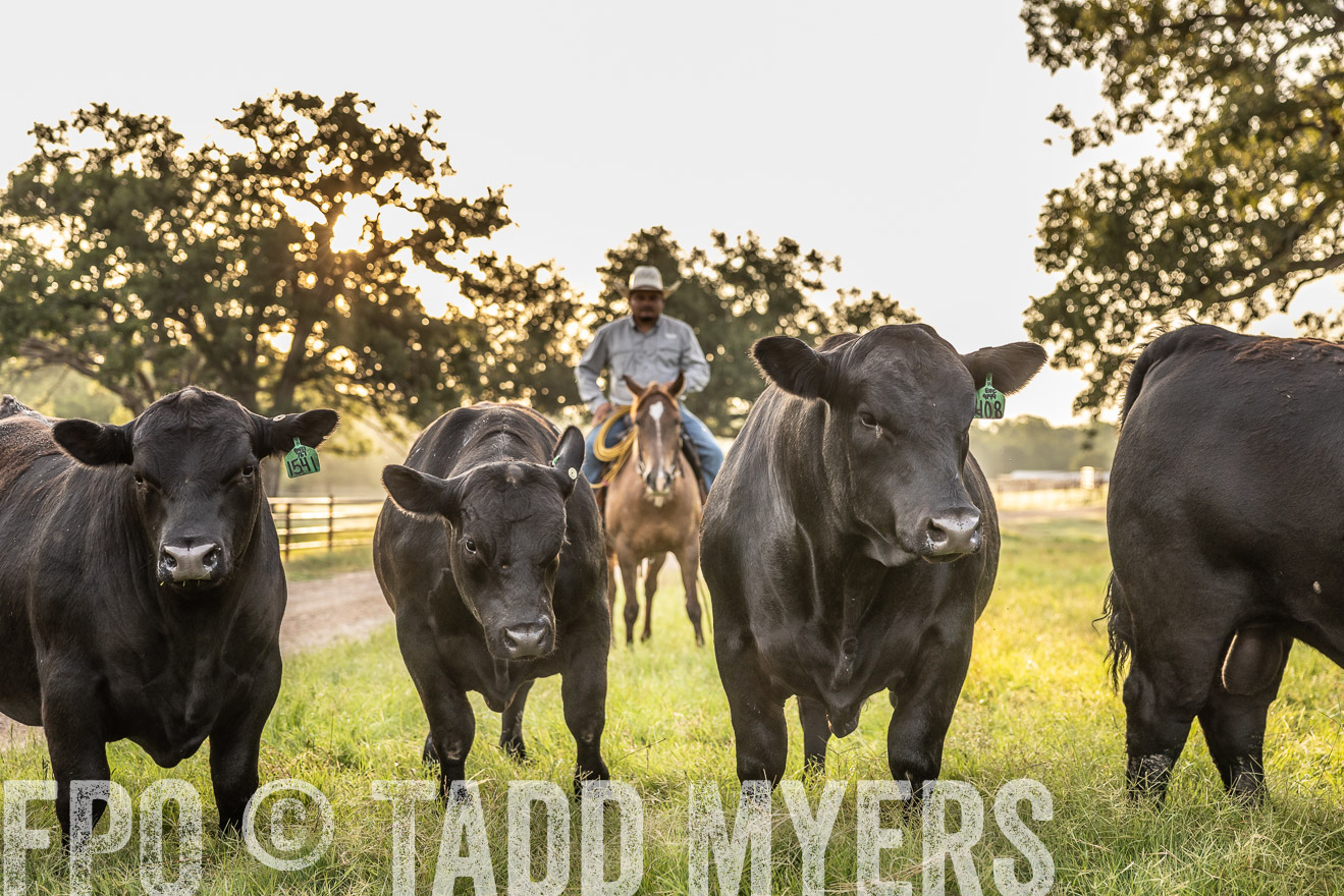 TMyers_Cameron_June2022-529673