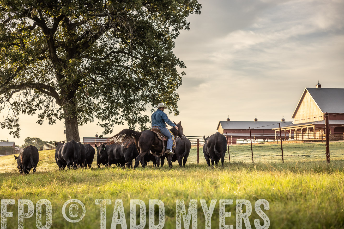TMyers_Cameron_June2022-529709
