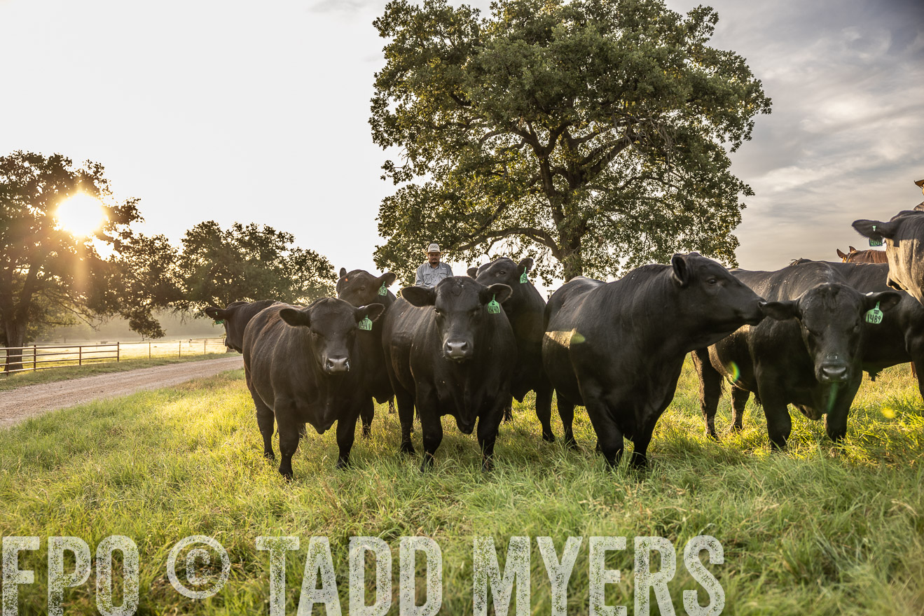 TMyers_Cameron_June2022-529764