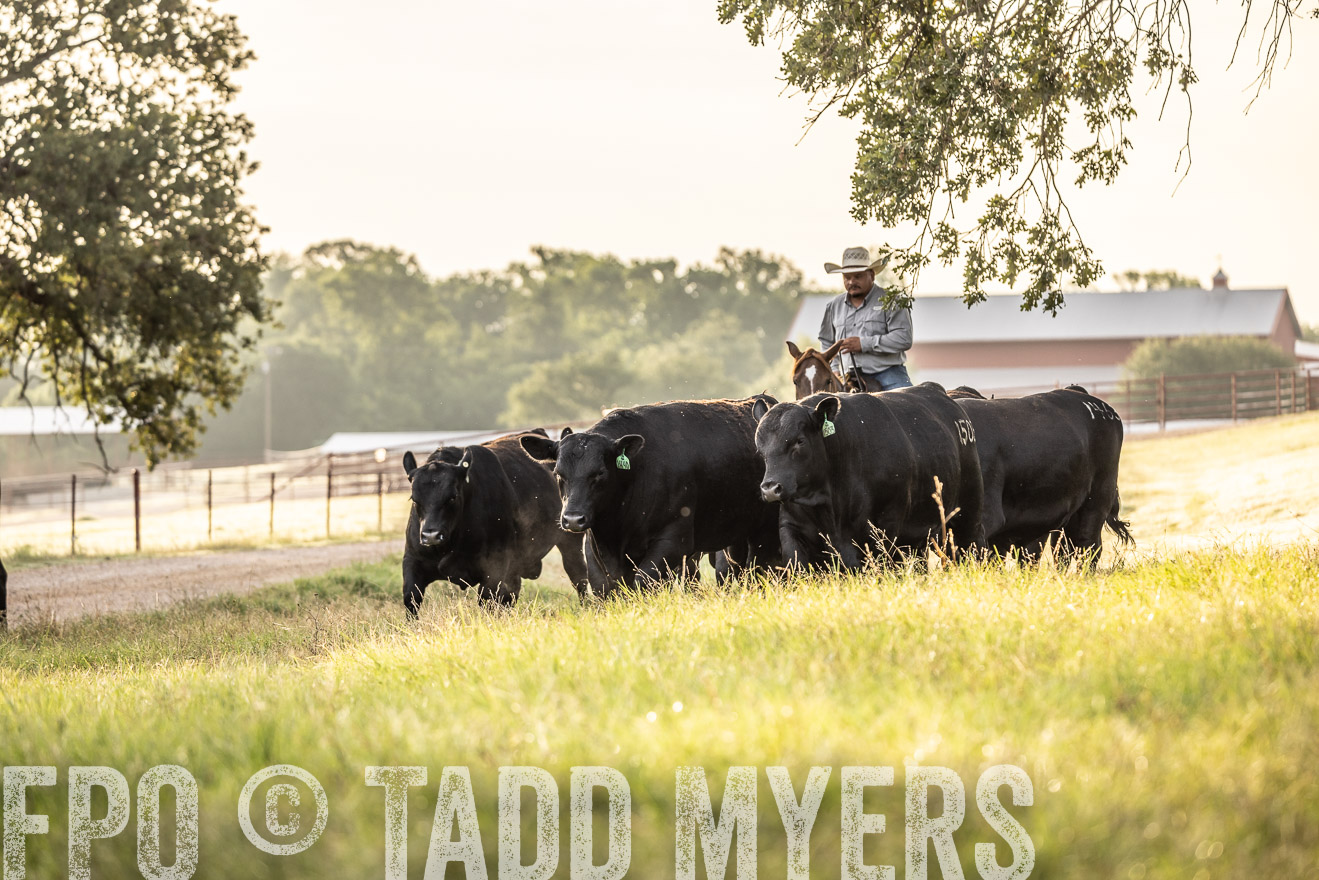 TMyers_Cameron_June2022-529789