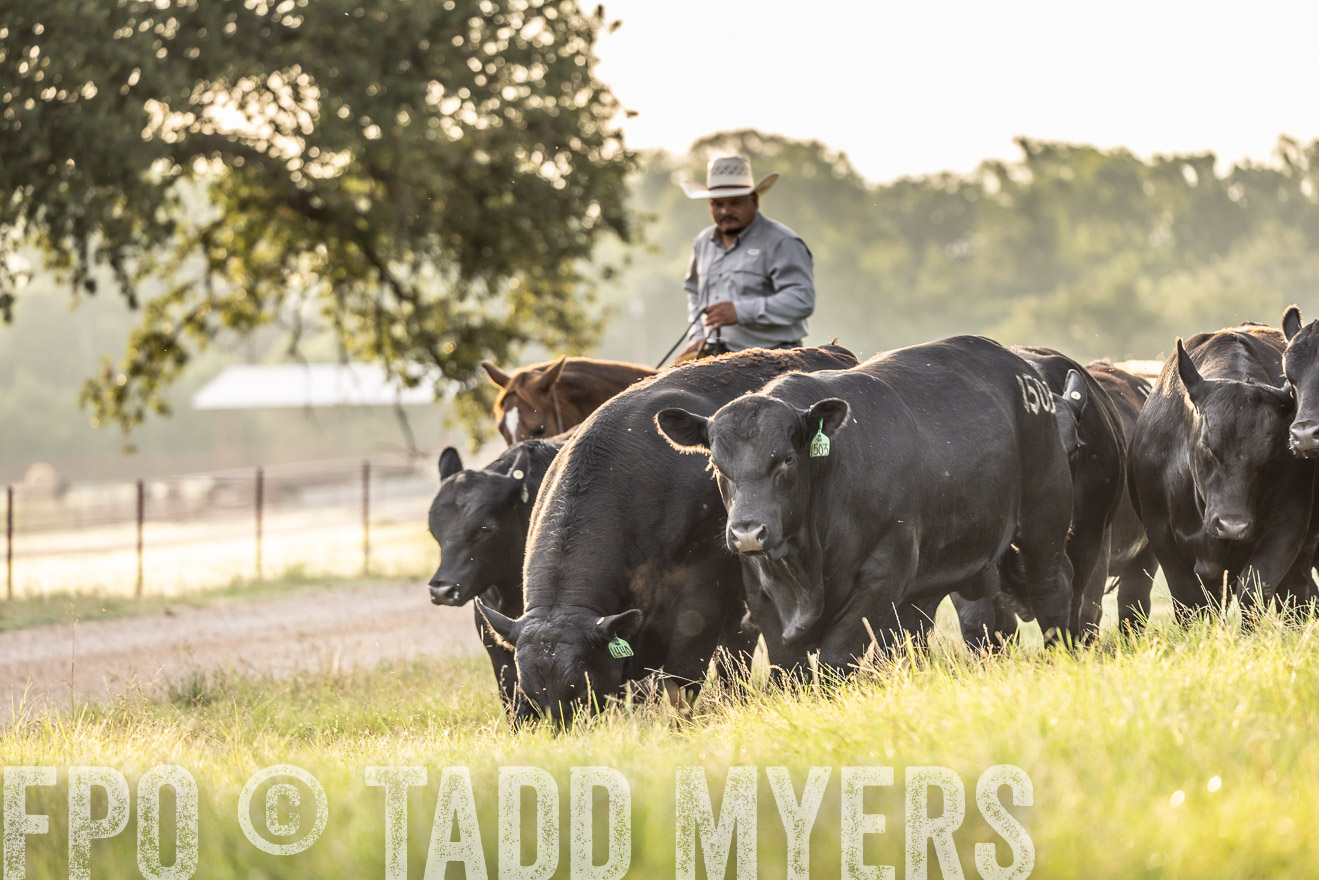 TMyers_Cameron_June2022-529798