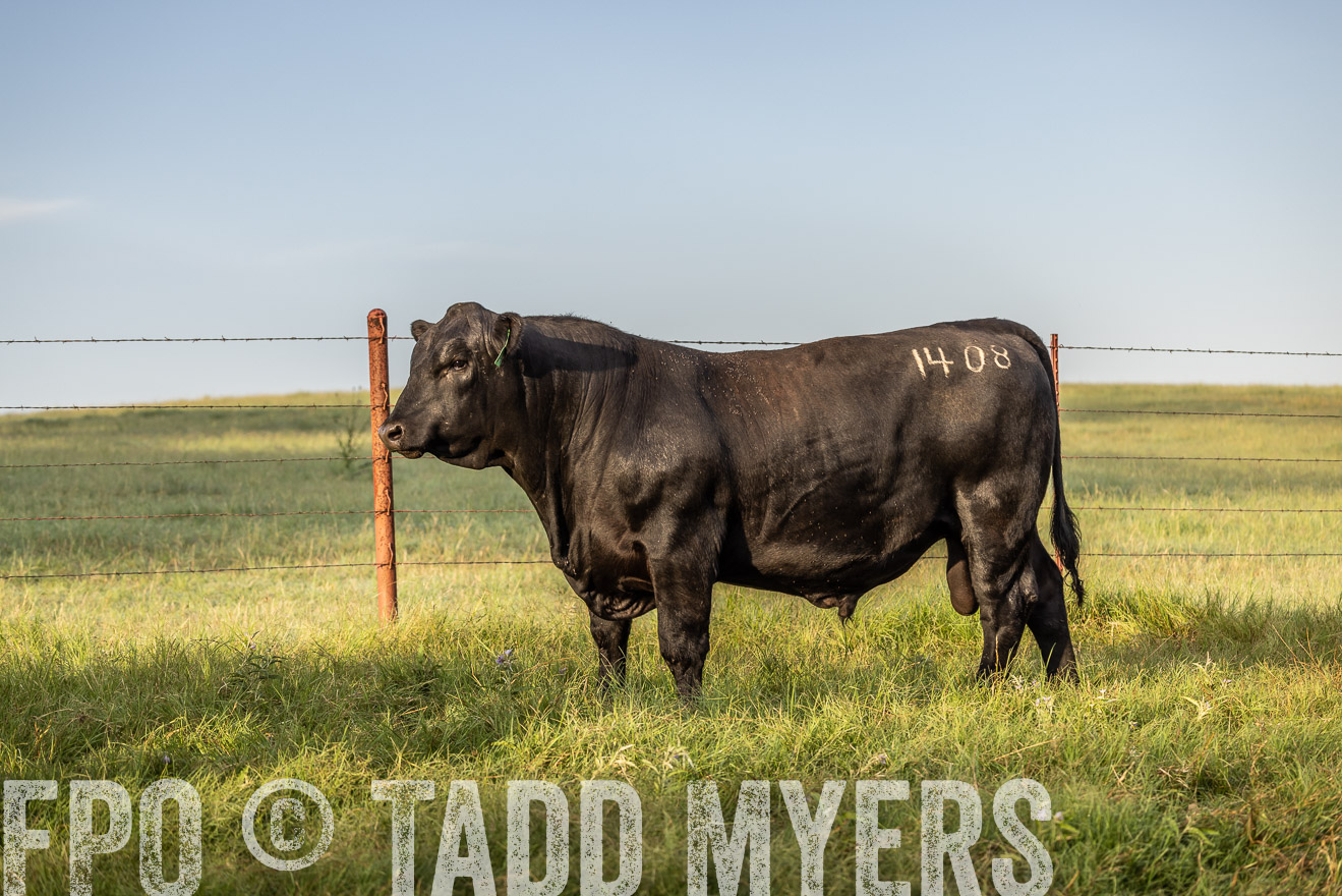 TMyers_Cameron_June2022-529856