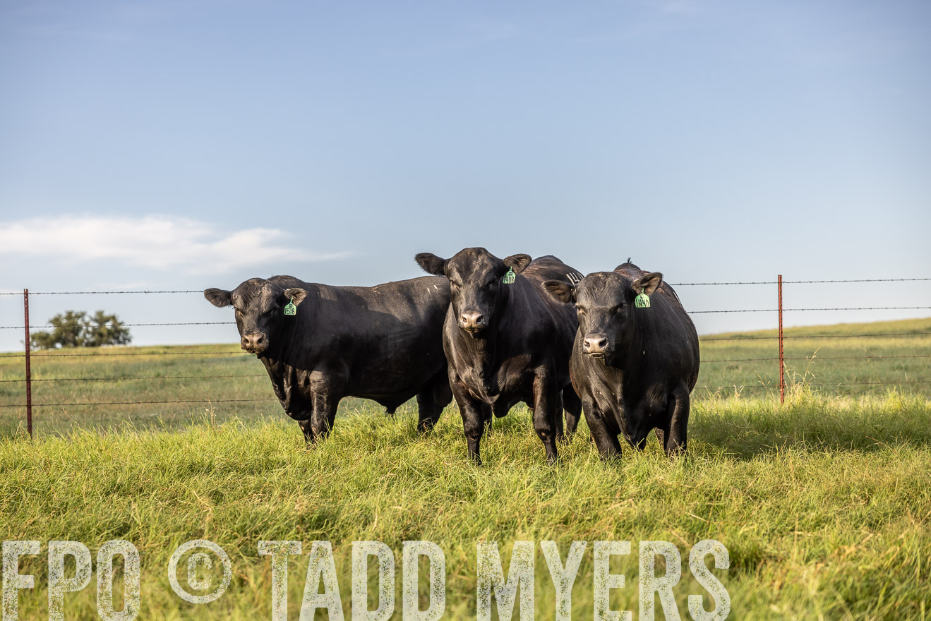 TMyers_Cameron_June2022-529993