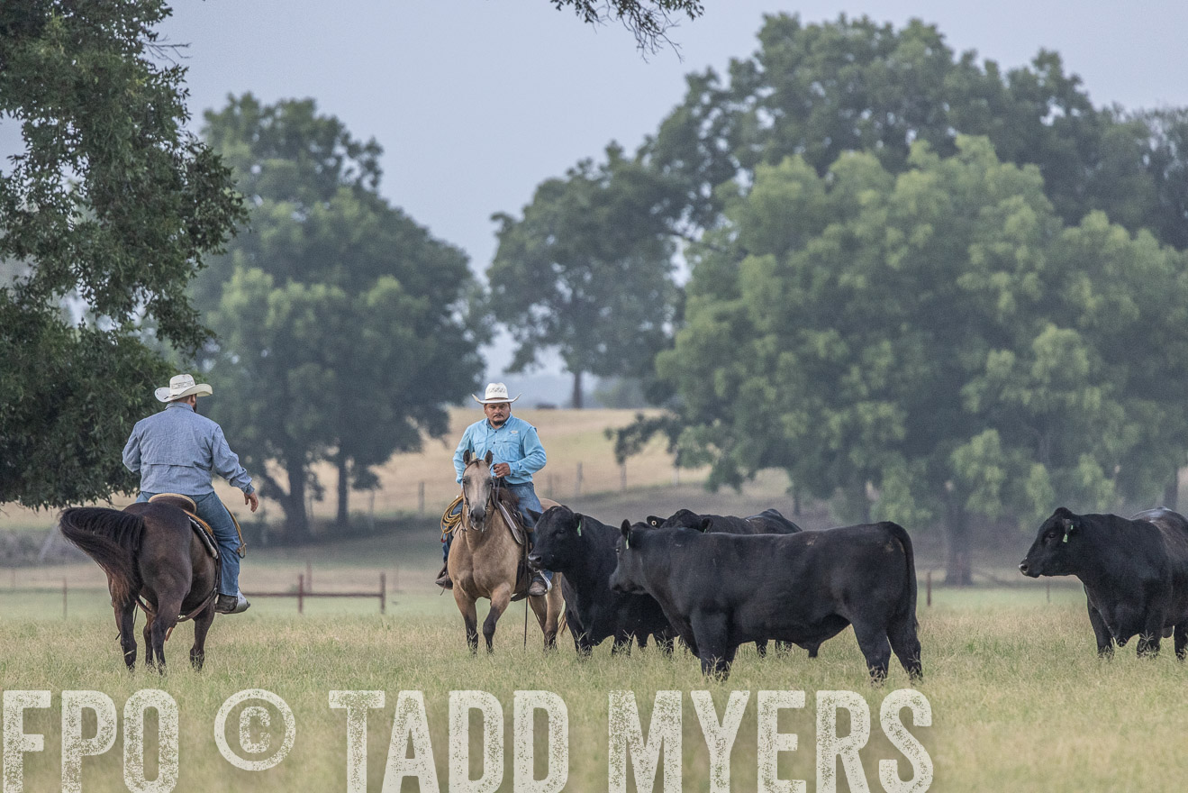 TMyers_44Farms_CameronTX_July2022--522092