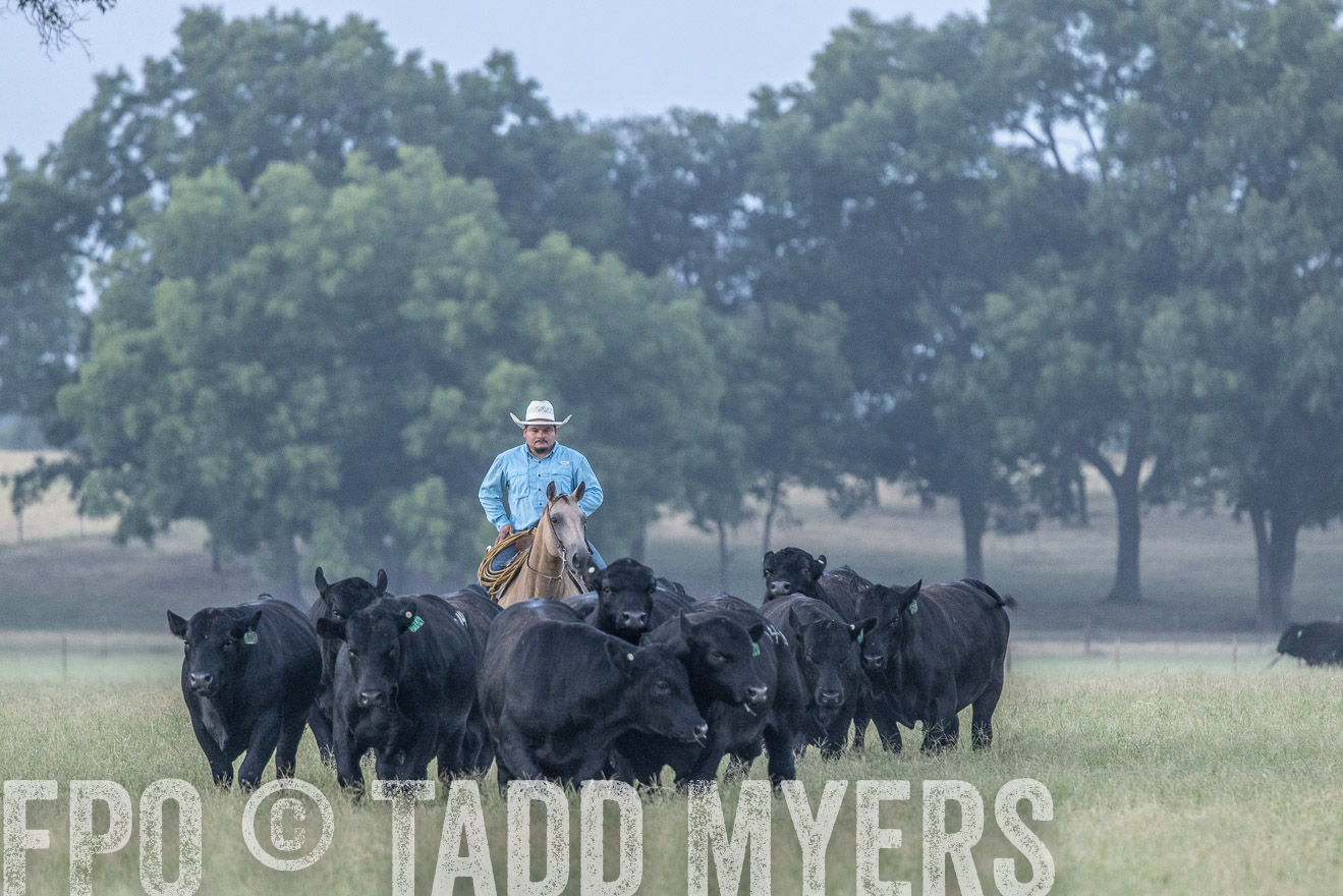 TMyers_44Farms_CameronTX_July2022--522100