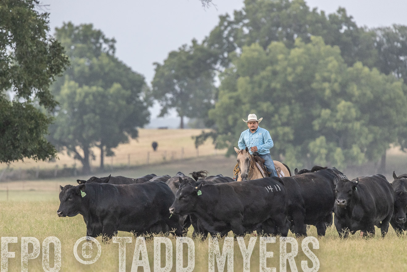 TMyers_44Farms_CameronTX_July2022--522108