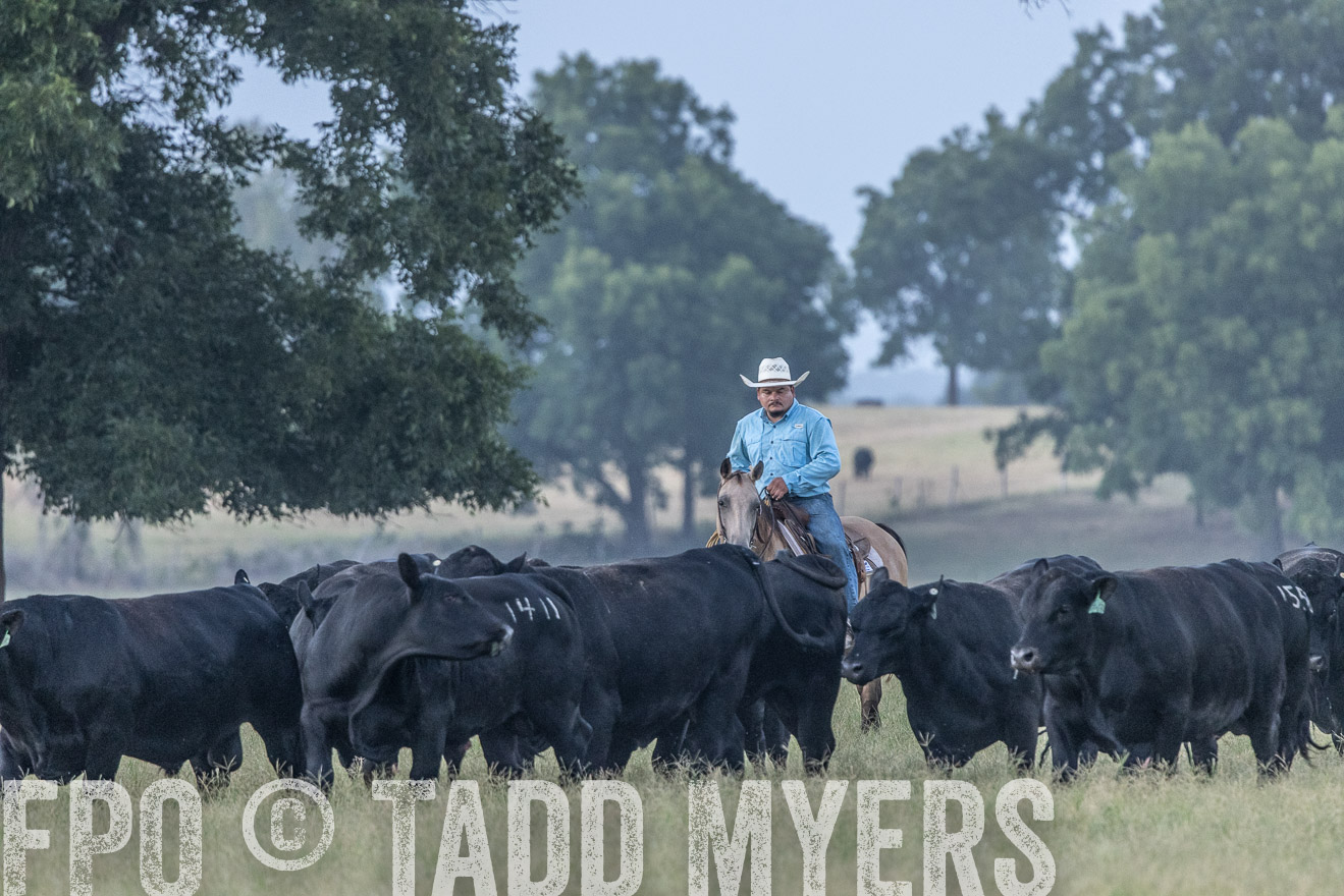 TMyers_44Farms_CameronTX_July2022--522111
