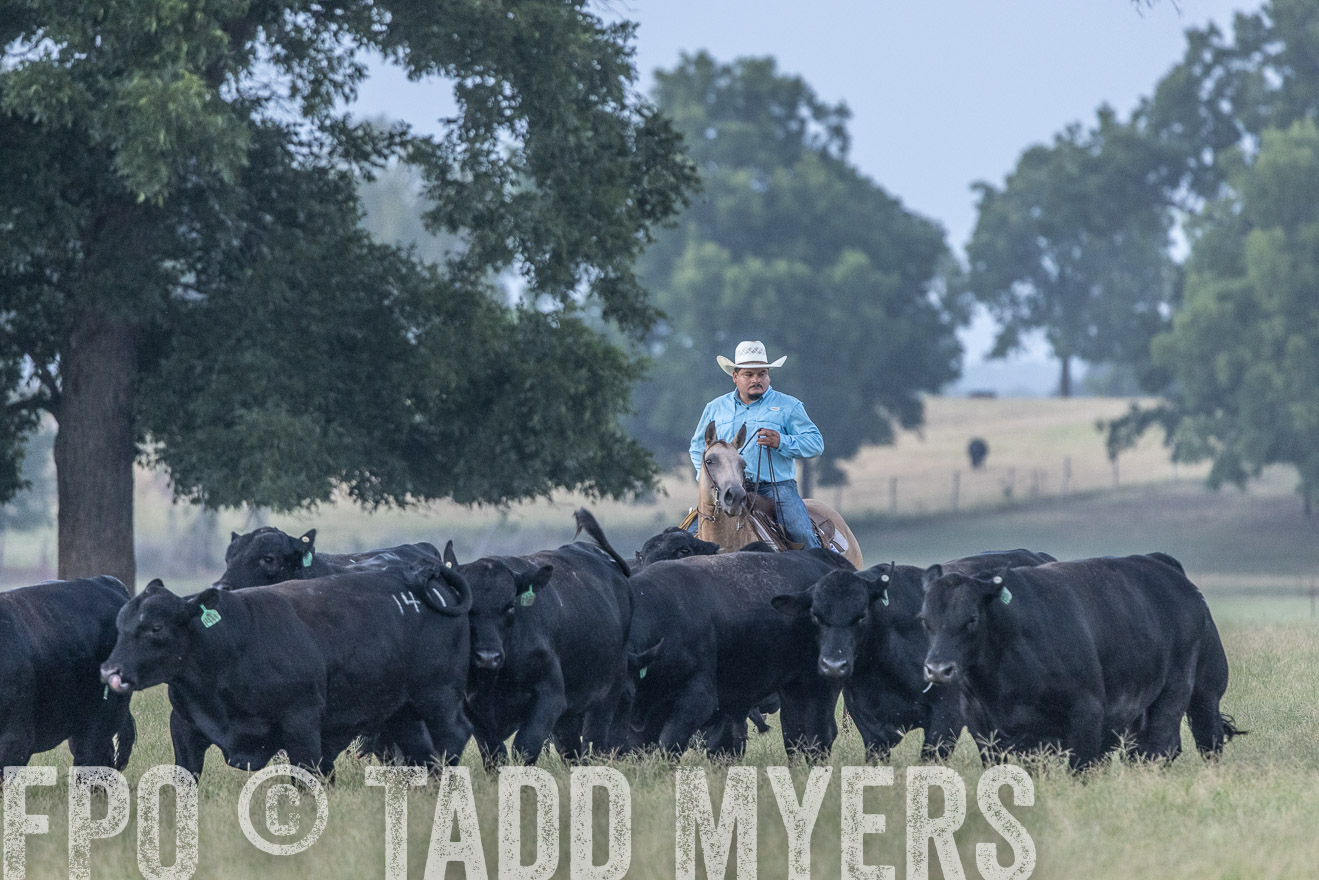 TMyers_44Farms_CameronTX_July2022--522113