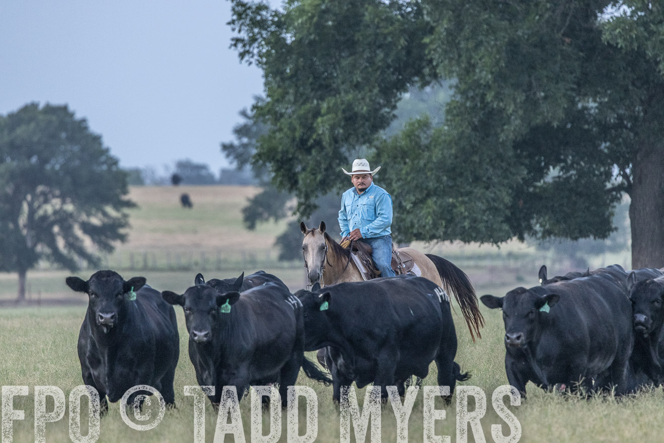TMyers_44Farms_CameronTX_July2022--522117