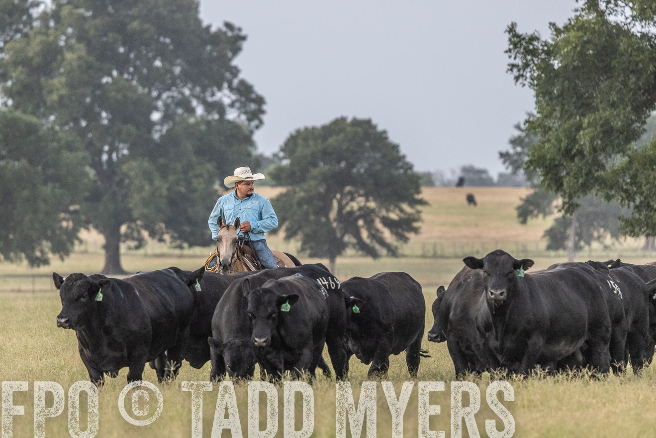 TMyers_44Farms_CameronTX_July2022--522124