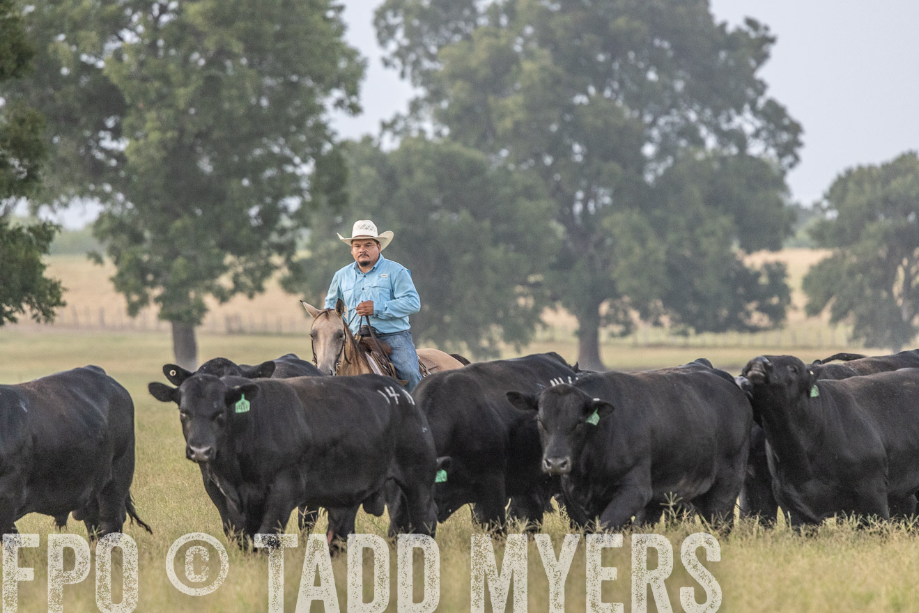 TMyers_44Farms_CameronTX_July2022--522130