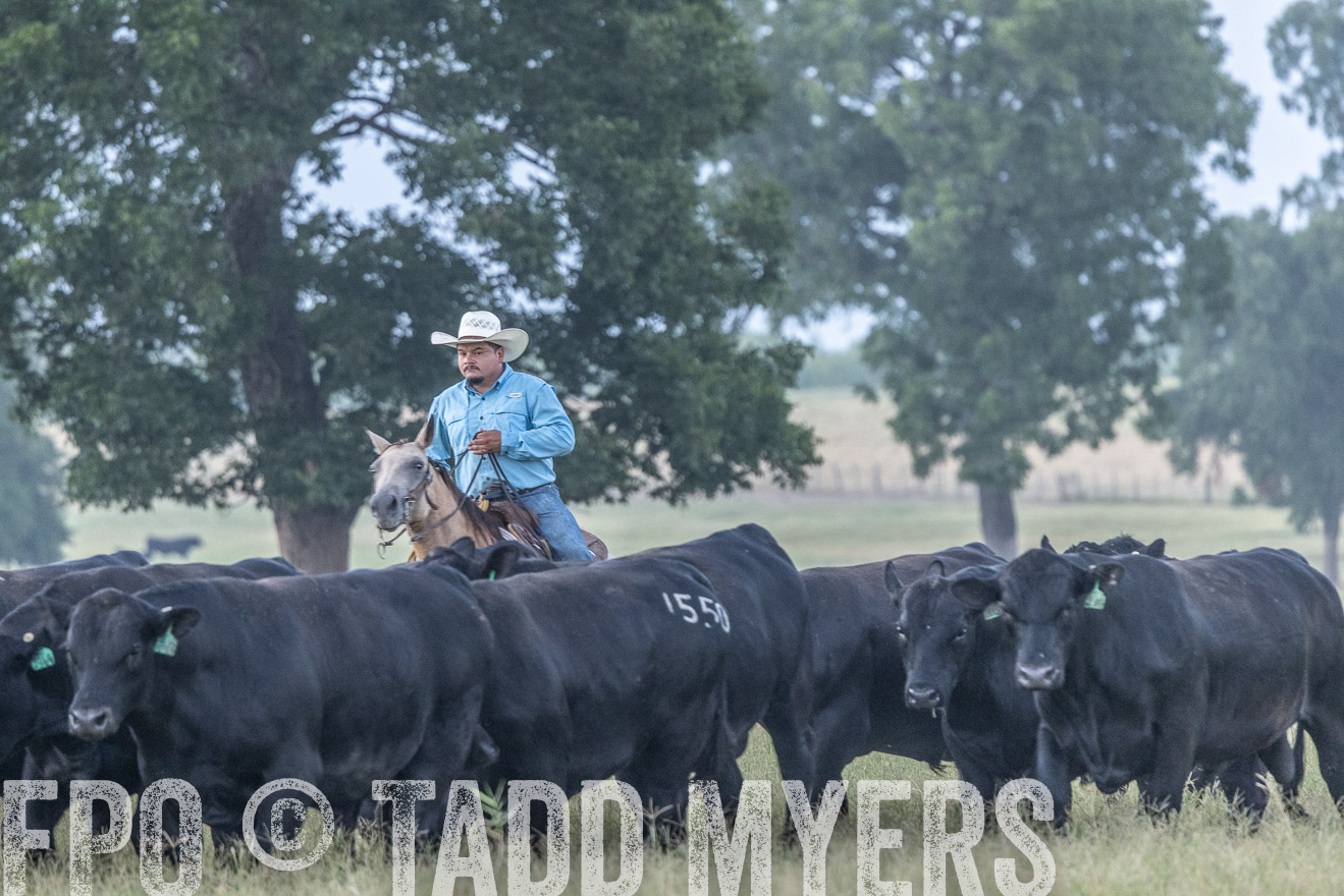 TMyers_44Farms_CameronTX_July2022--522137