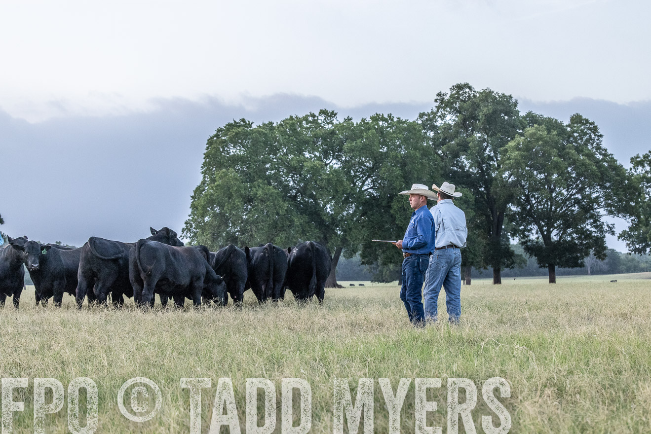TMyers_44Farms_CameronTX_July2022--522188