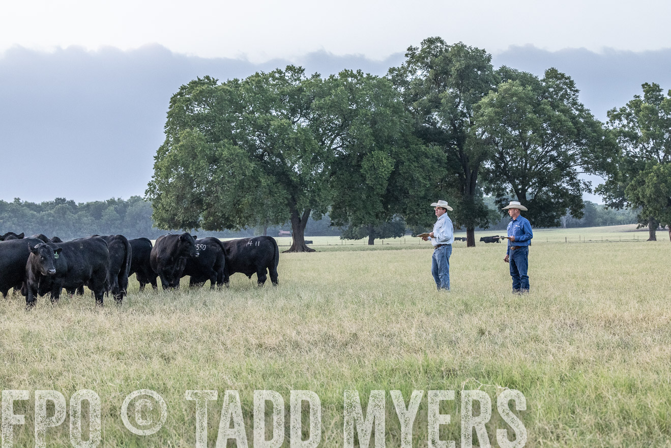 TMyers_44Farms_CameronTX_July2022--522195