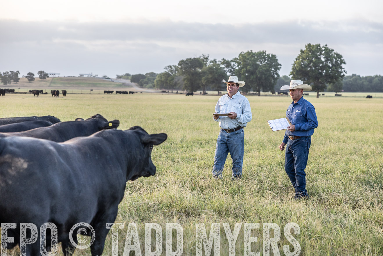 TMyers_44Farms_CameronTX_July2022--522228