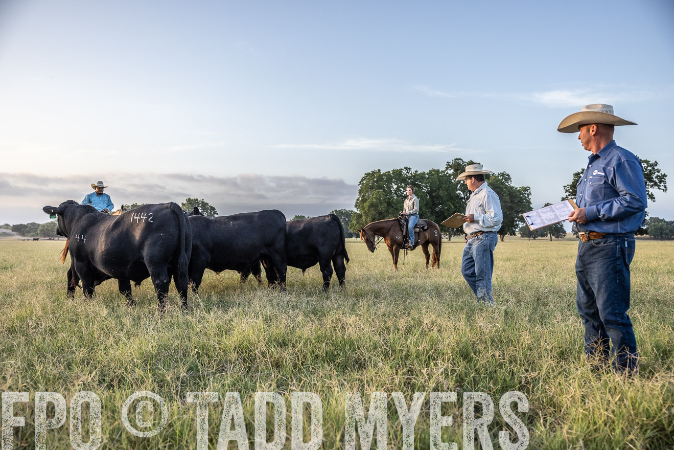 TMyers_44Farms_CameronTX_July2022--522241
