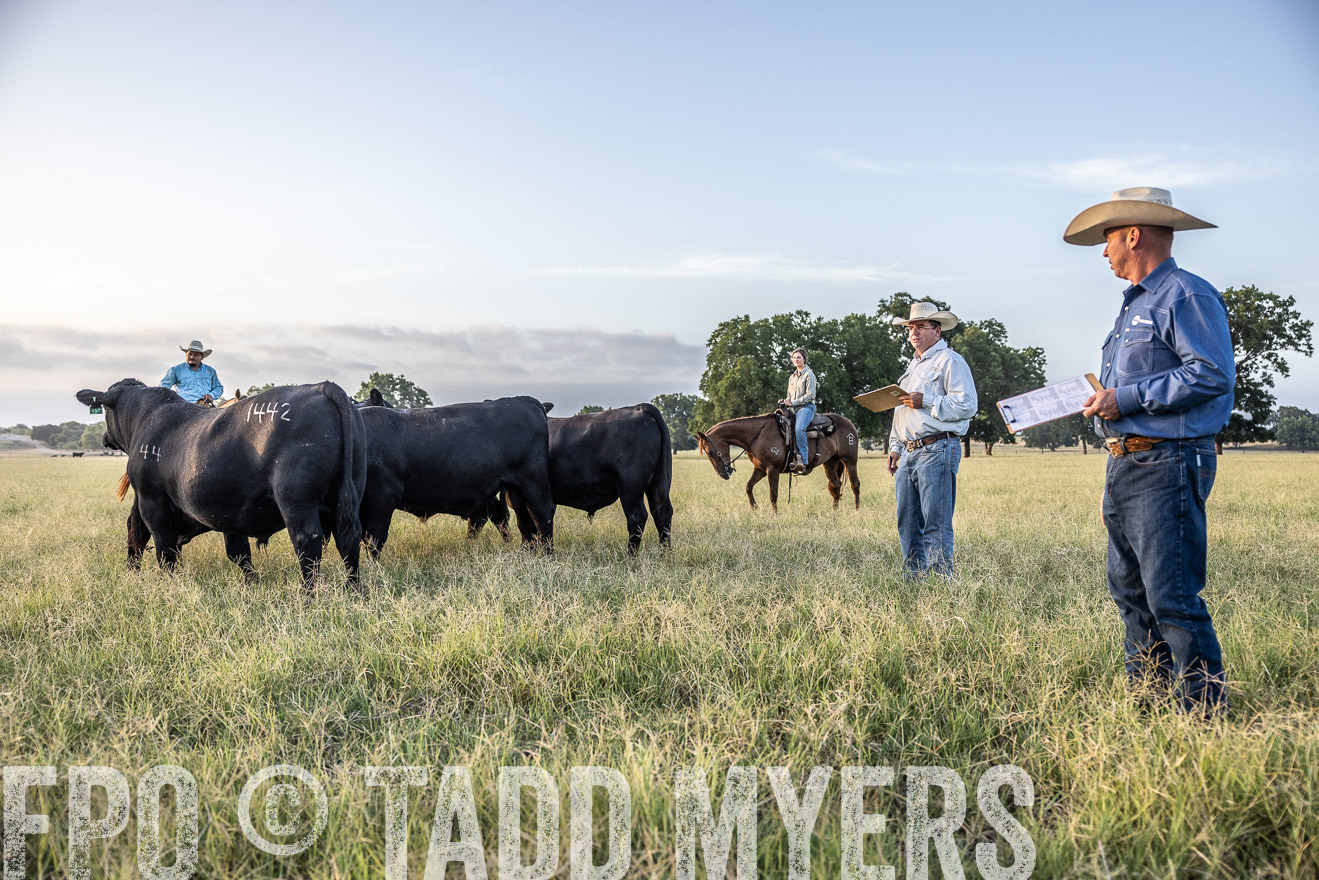 TMyers_44Farms_CameronTX_July2022--522242