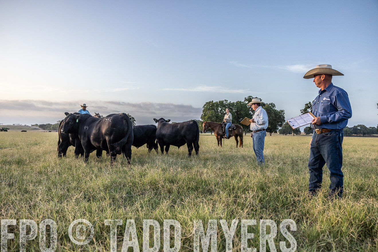 TMyers_44Farms_CameronTX_July2022--522248