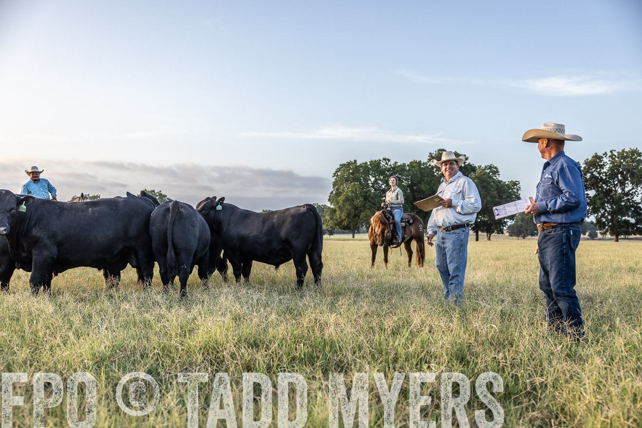 TMyers_44Farms_CameronTX_July2022--522254