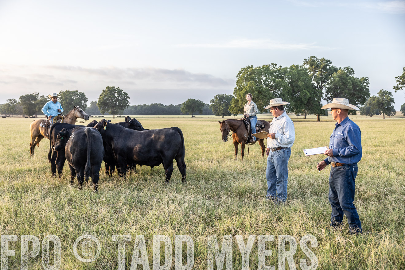 TMyers_44Farms_CameronTX_July2022--522262