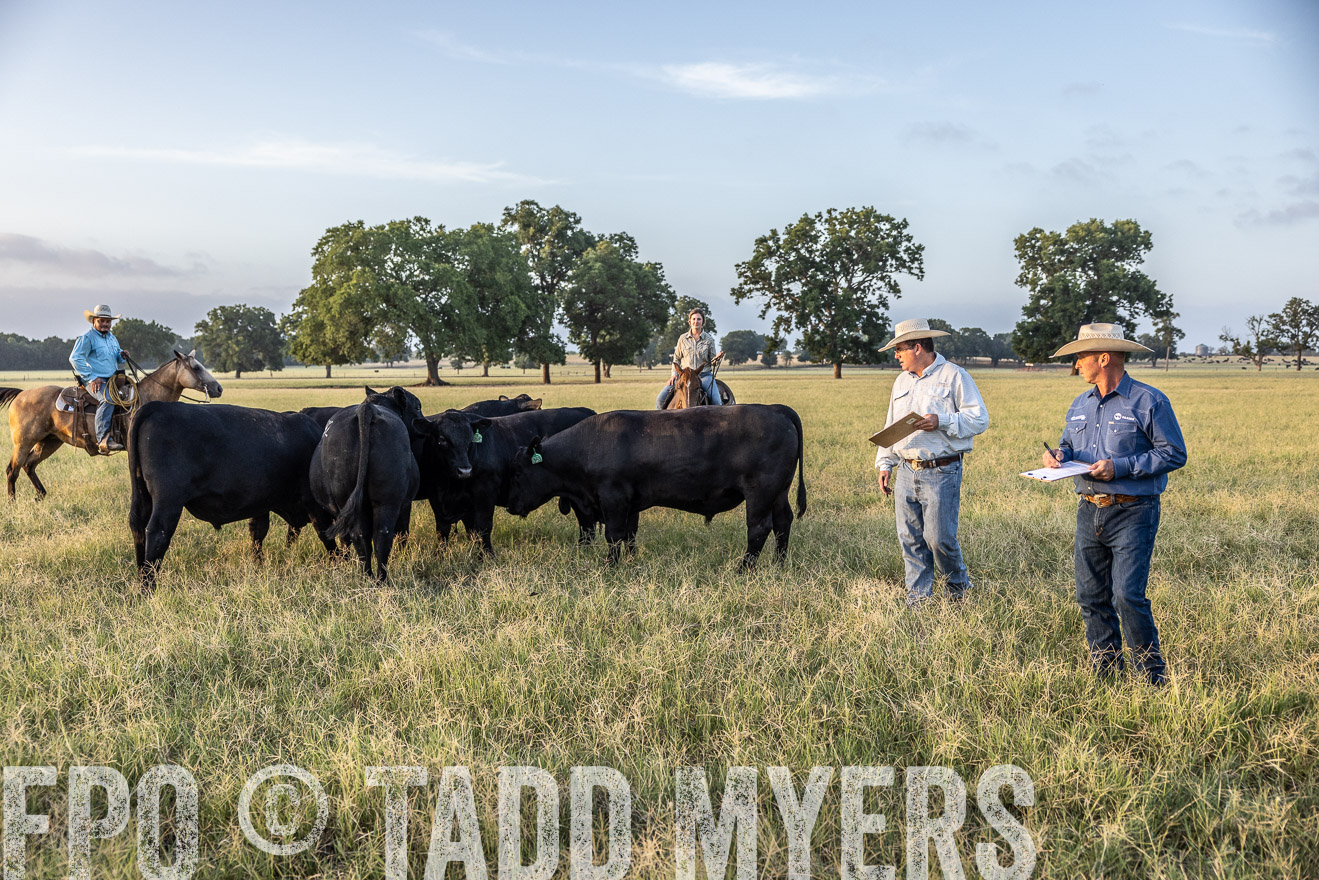 TMyers_44Farms_CameronTX_July2022--522278