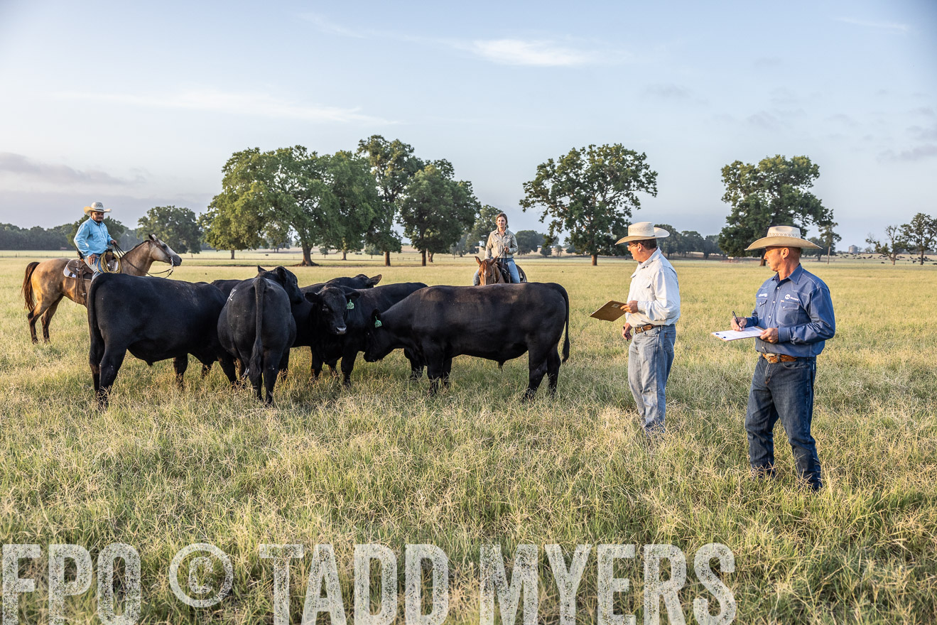TMyers_44Farms_CameronTX_July2022--522281