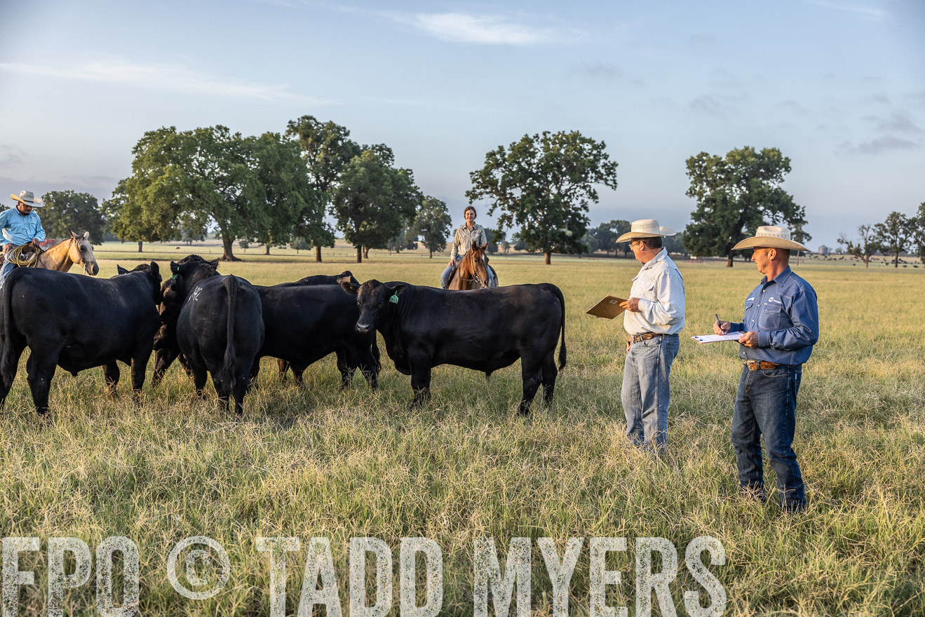 TMyers_44Farms_CameronTX_July2022--522284