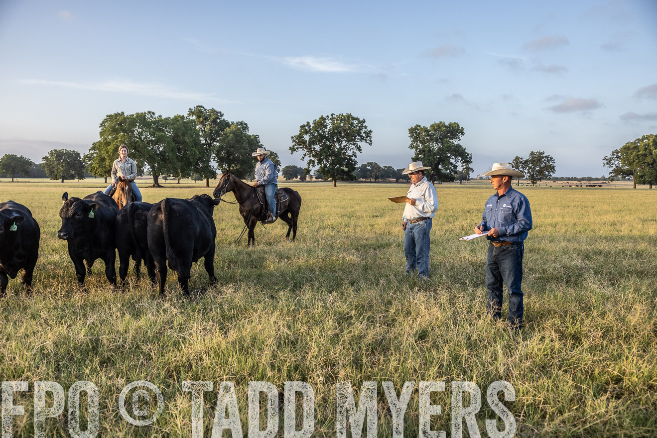 TMyers_44Farms_CameronTX_July2022--522306