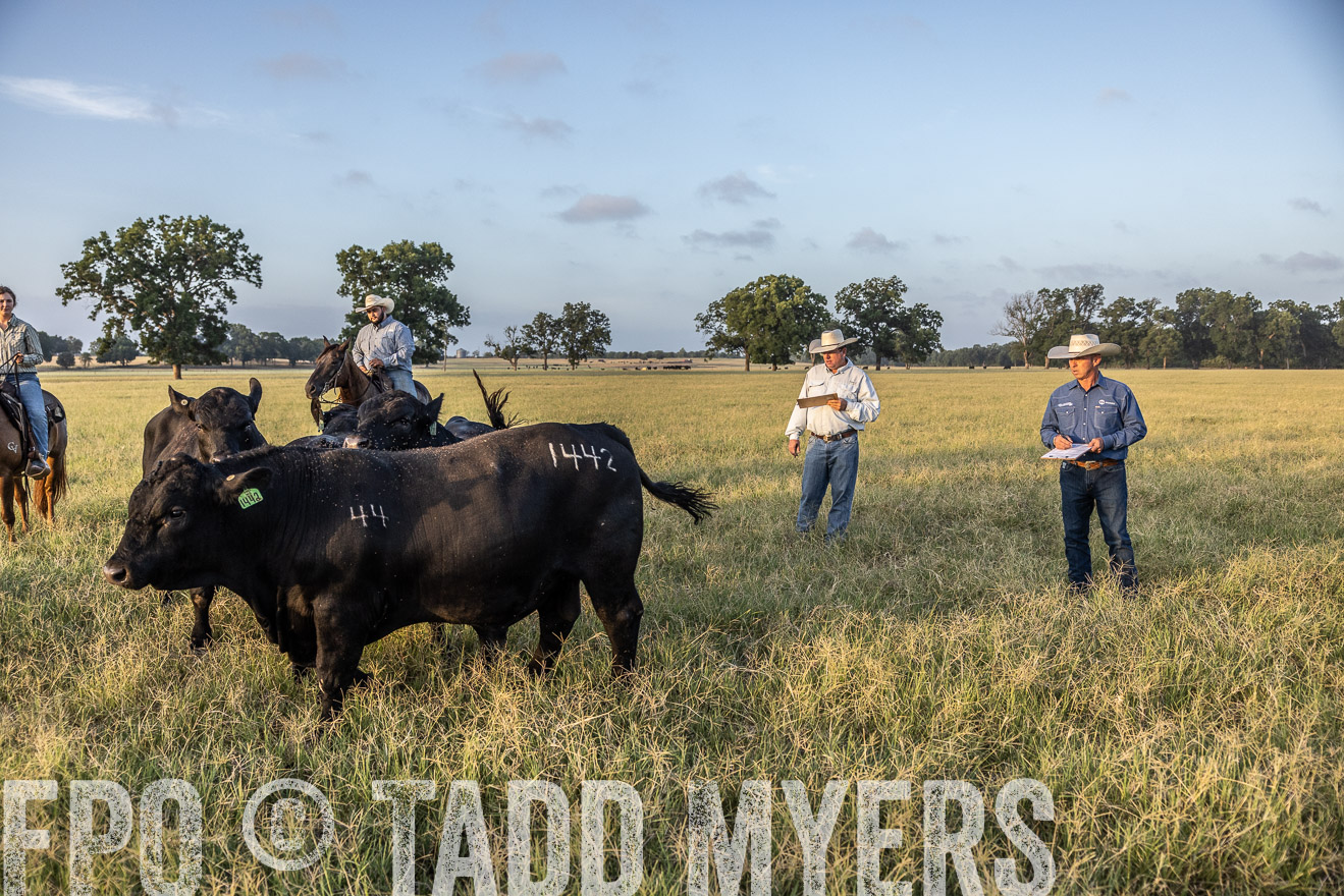 TMyers_44Farms_CameronTX_July2022--522307