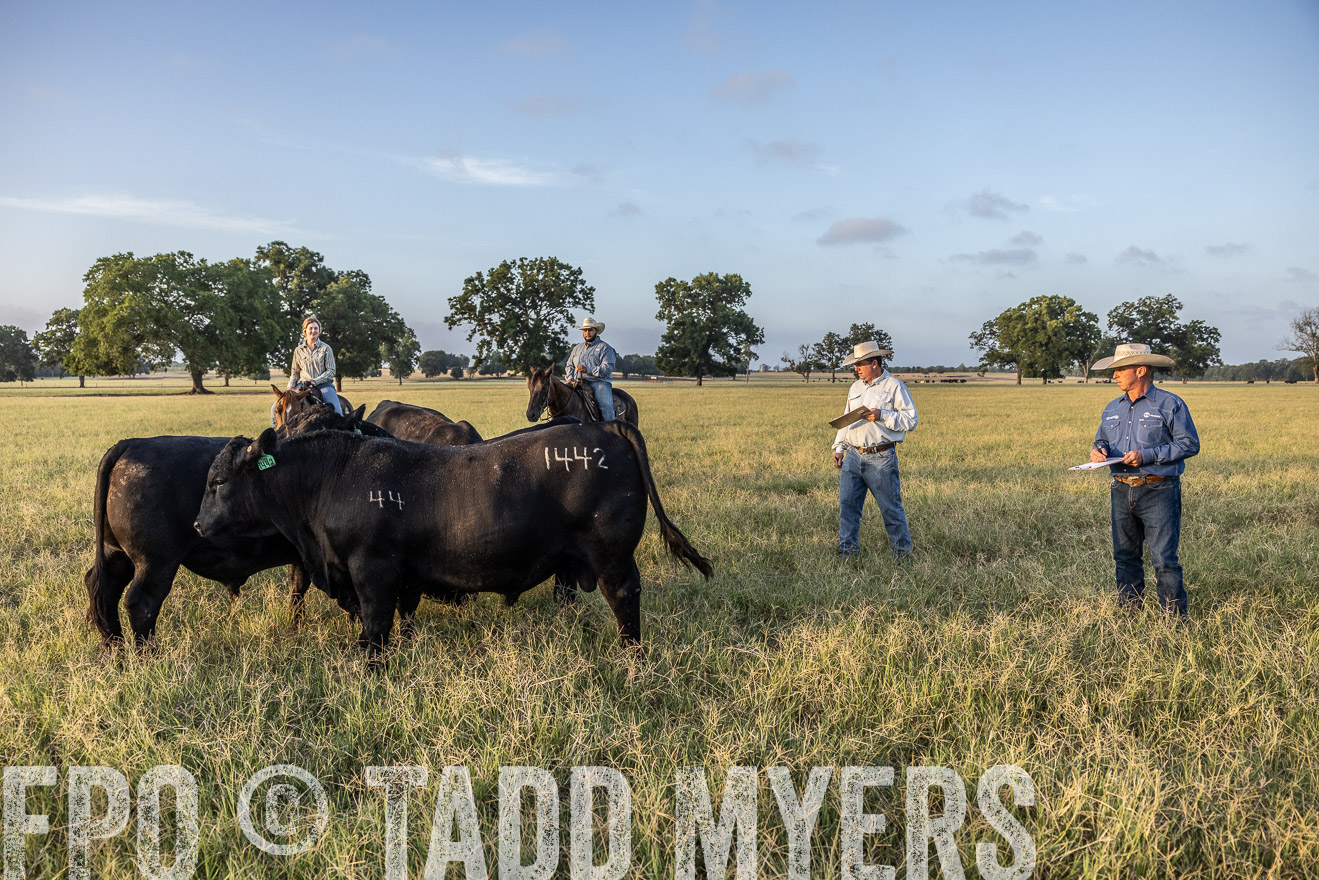 TMyers_44Farms_CameronTX_July2022--522312