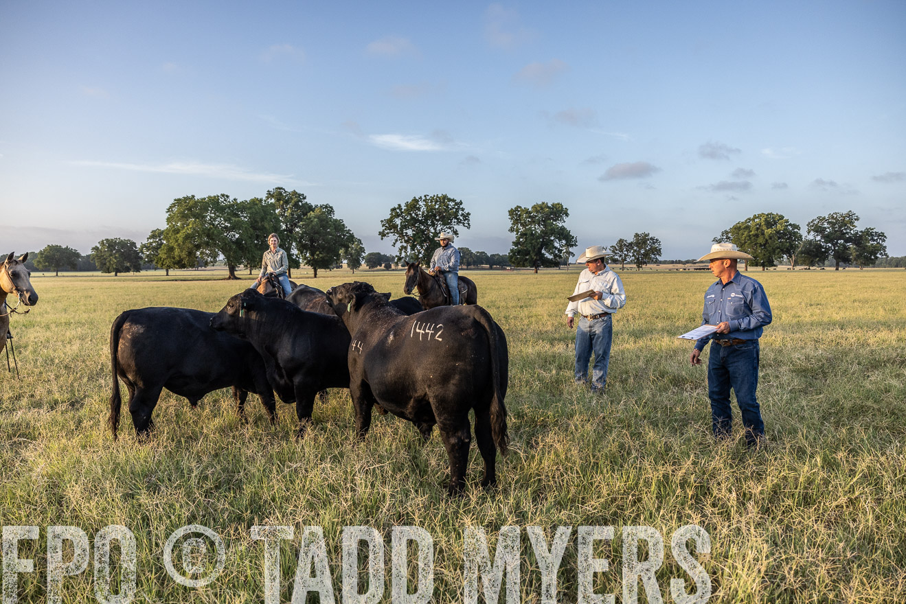 TMyers_44Farms_CameronTX_July2022--522327