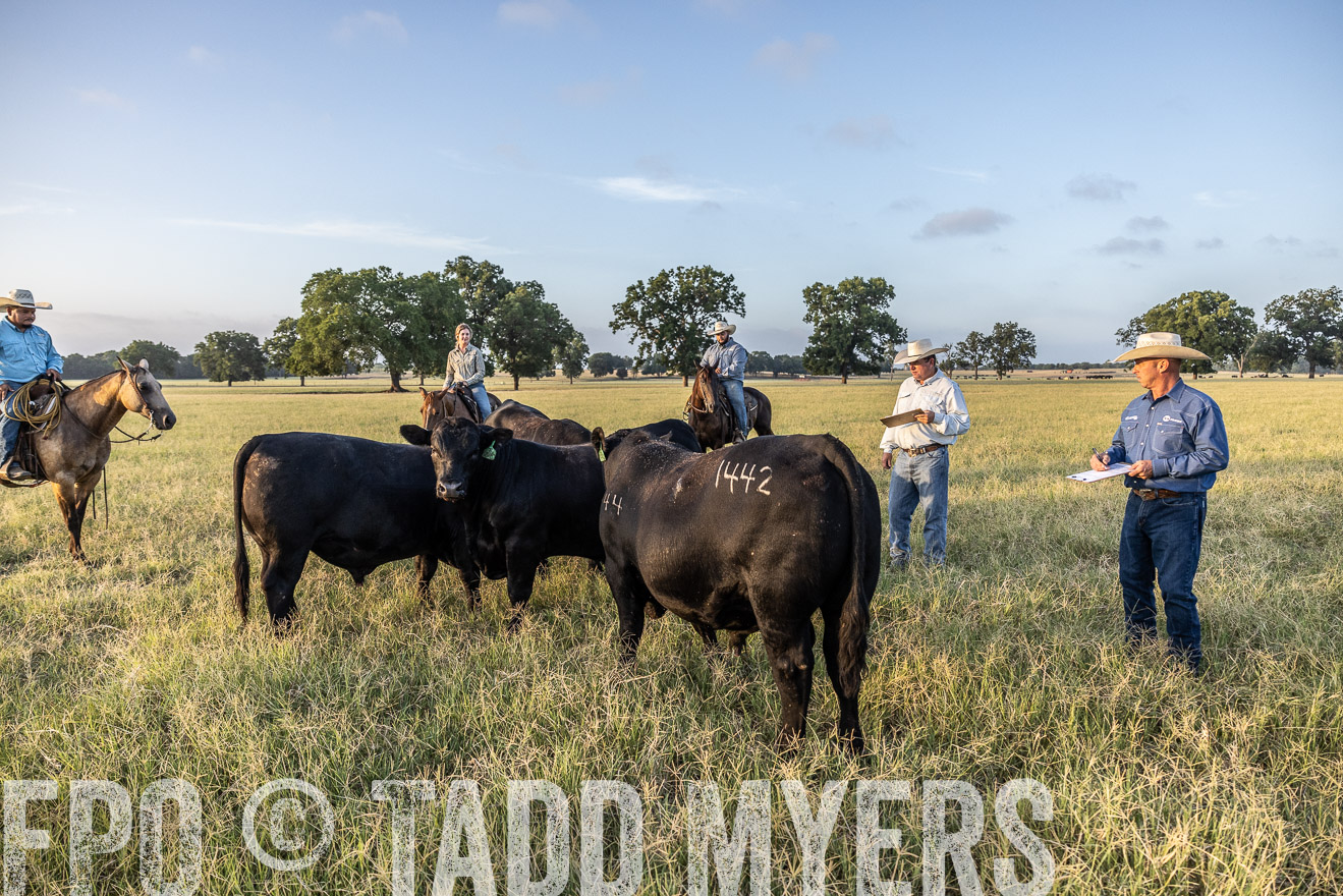 TMyers_44Farms_CameronTX_July2022--522331