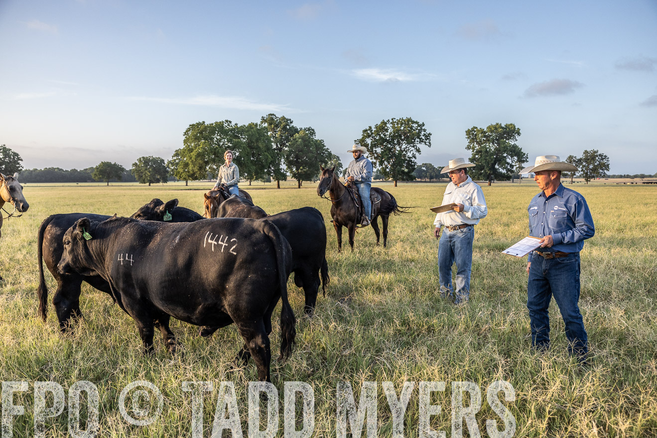 TMyers_44Farms_CameronTX_July2022--522333