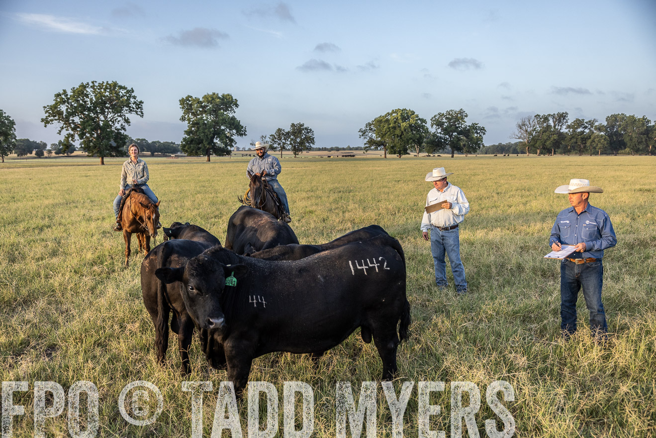 TMyers_44Farms_CameronTX_July2022--522354