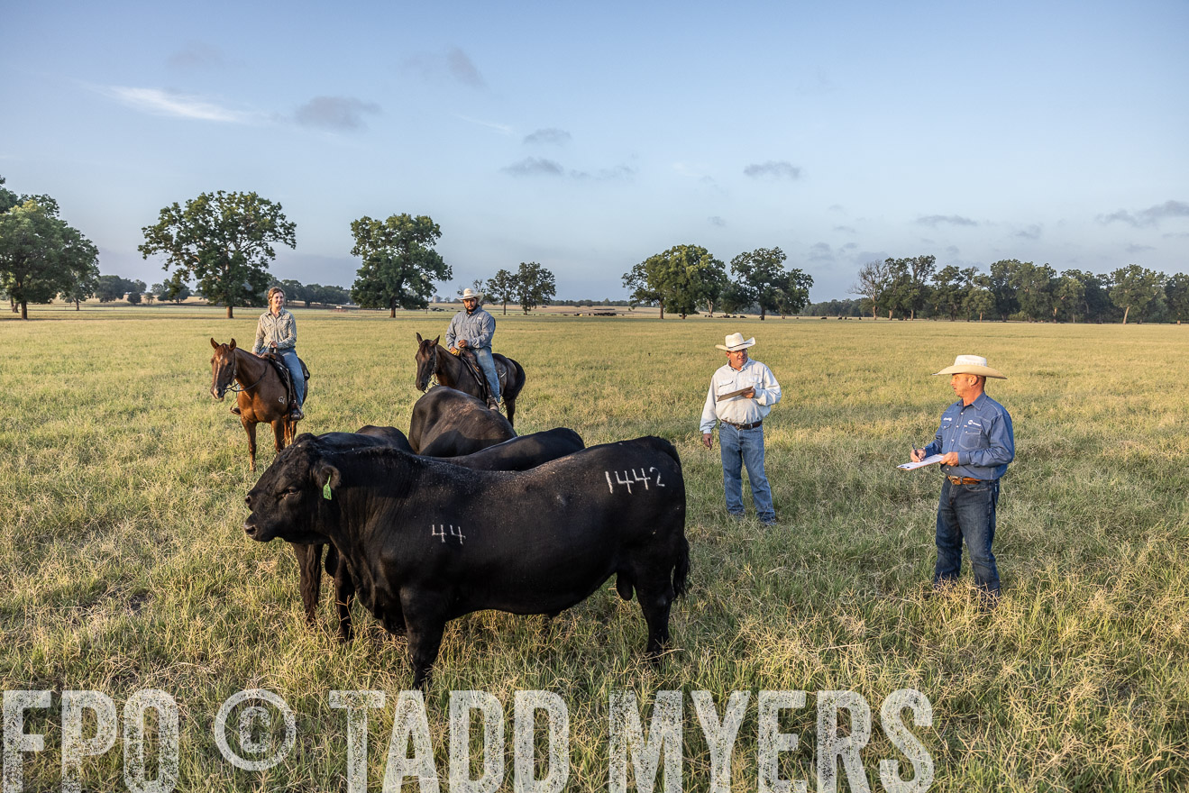 TMyers_44Farms_CameronTX_July2022--522359