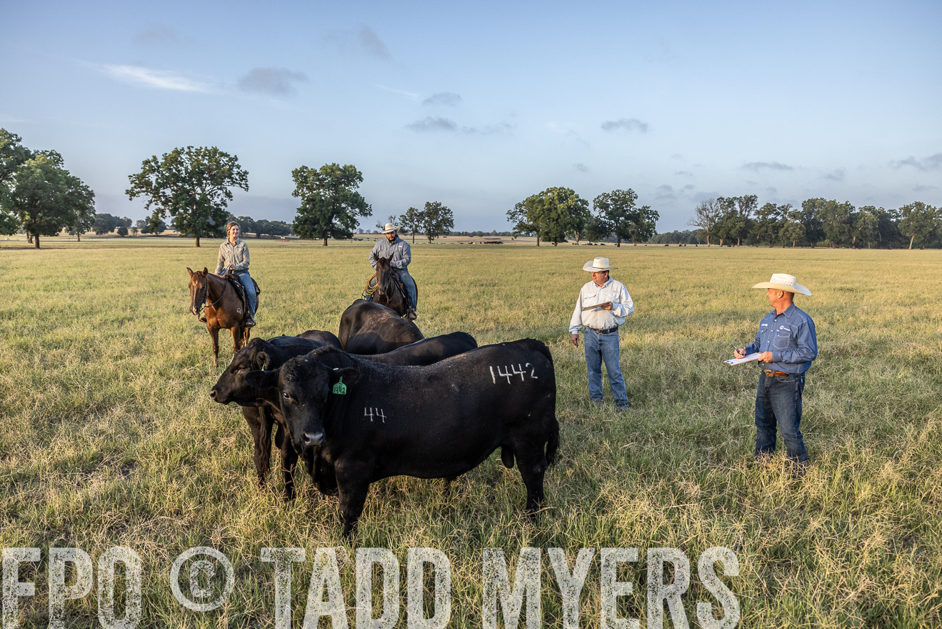 TMyers_44Farms_CameronTX_July2022--522363