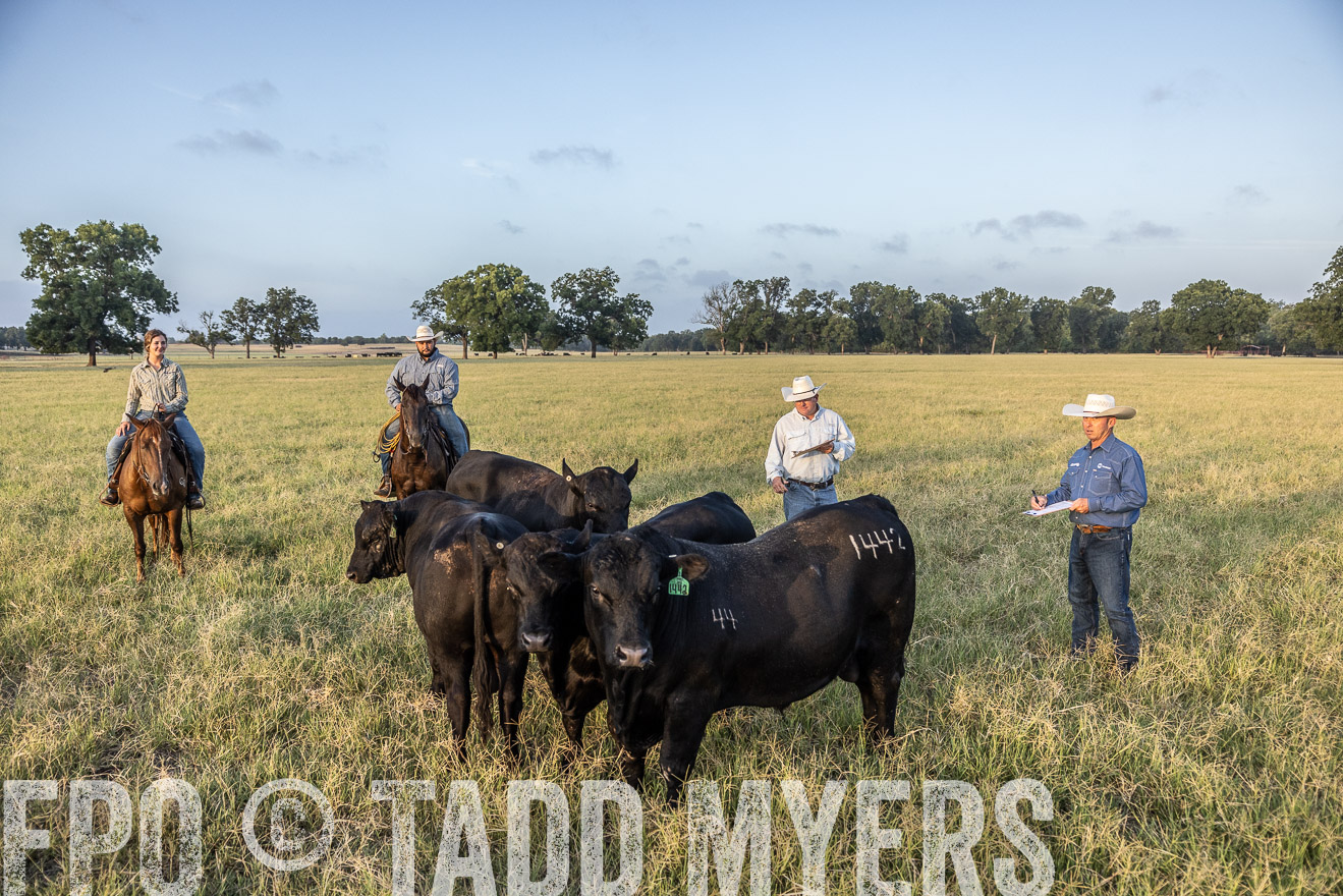 TMyers_44Farms_CameronTX_July2022--522365