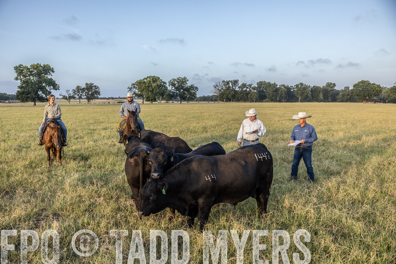 TMyers_44Farms_CameronTX_July2022--522371