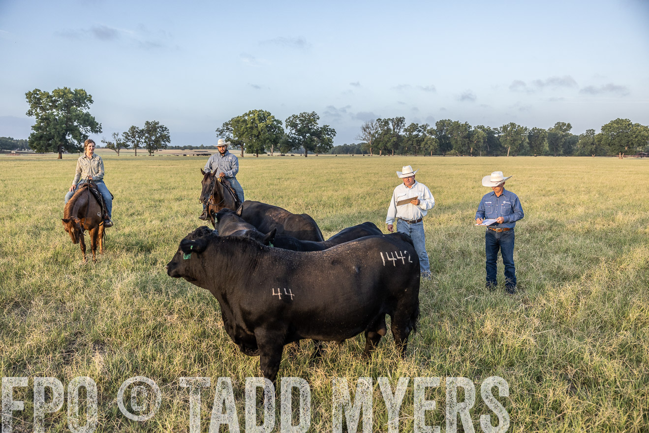TMyers_44Farms_CameronTX_July2022--522375