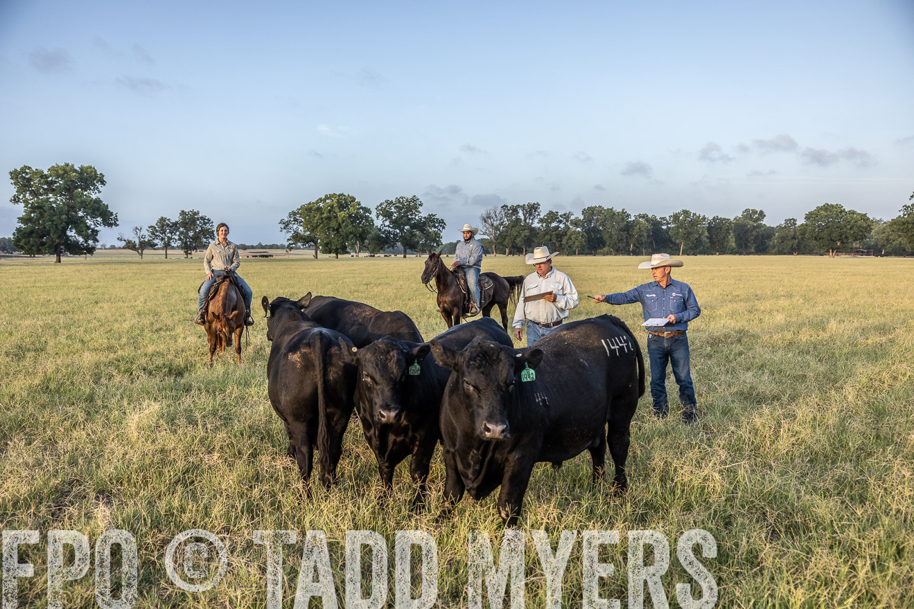 TMyers_44Farms_CameronTX_July2022--522379