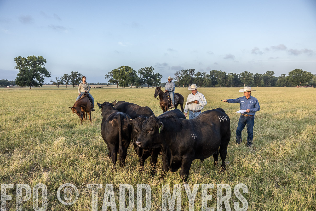 TMyers_44Farms_CameronTX_July2022--522382