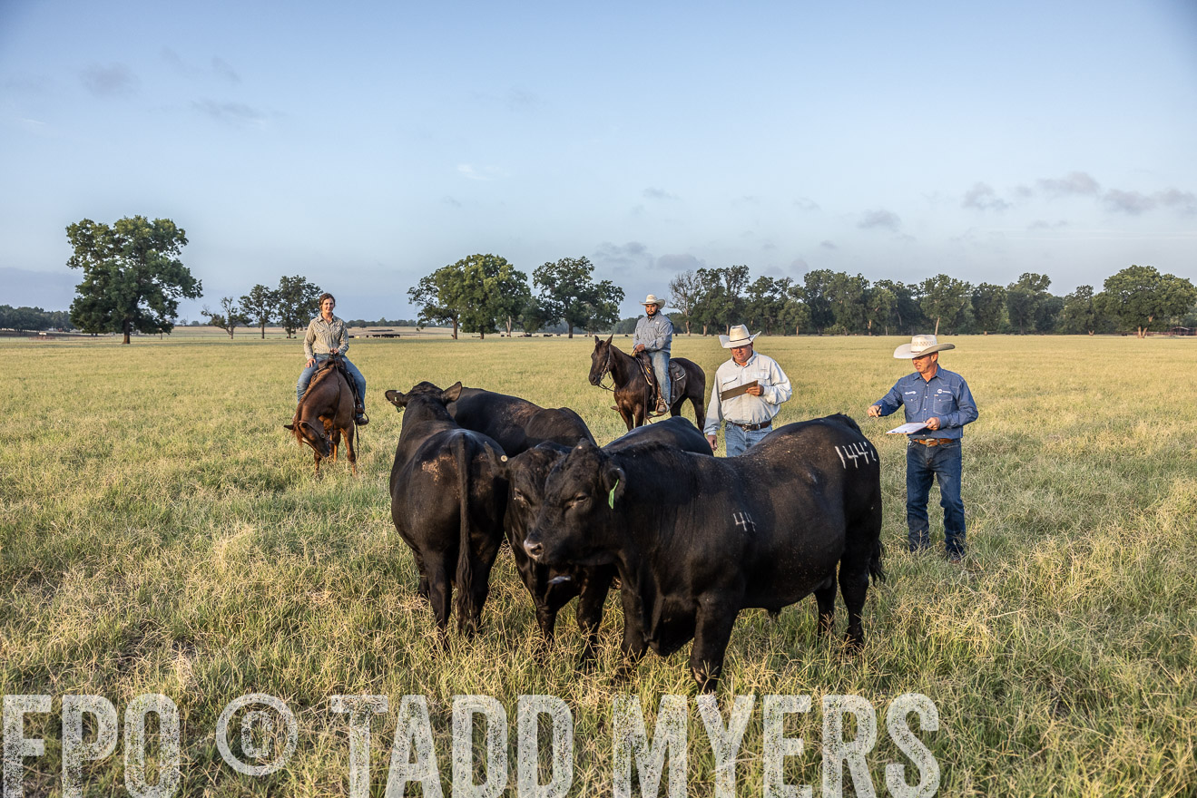 TMyers_44Farms_CameronTX_July2022--522385
