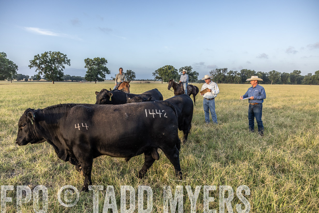 TMyers_44Farms_CameronTX_July2022--522395