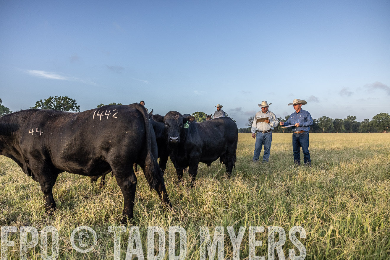 TMyers_44Farms_CameronTX_July2022--522402
