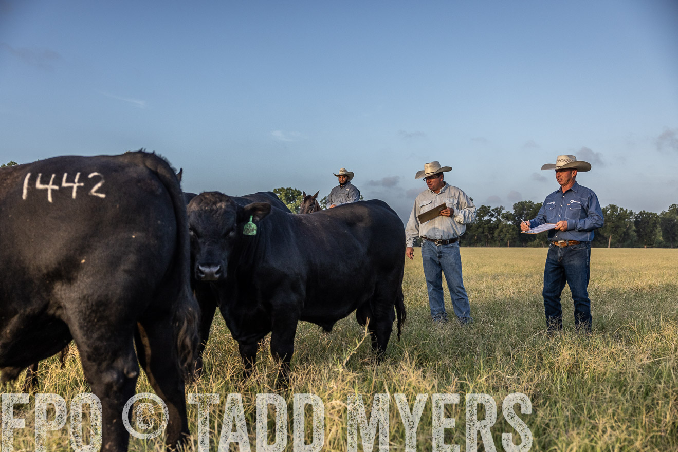 TMyers_44Farms_CameronTX_July2022--522407